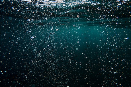 环太平洋动态壁纸：让你身临其境的水下冒险