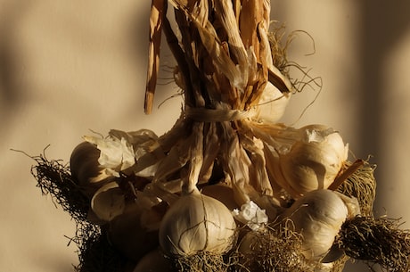 蒜苔的腌制方法，让你在家也能轻松完成美味