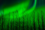 aurora(神奇的极光：探秘极地奇观)