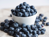 蓝莓的种植方法和技术(蓝莓的种植方法和技术)