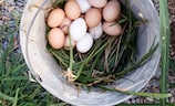 立夏的饮食习俗：吃蛋的缘故原由是什么？